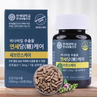 연세 당케어 바나바잎 추출물 세브란스케어 2통 4개월분, 300정, 2개