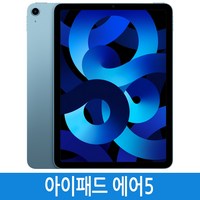 Apple 2022 아이패드 에어 5세대, 블루, 256GB, Wi-Fi+Cellular