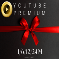 유튜브 premium + youtube 뮤직 3개월/6개월/12개월/24개월, 12개월