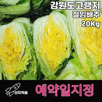 강원도 고랭지 절임 배추 20KG 강원도 배추 김장배추 김치, 1개