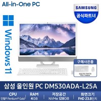 삼성 일체형PC 올인원PC DM530ADA-L25AH (인텔 펜티엄 11세대 7505 60.5cm WIN11 4GB 128GB SSD), DM530ADA-L25A, WIN 11