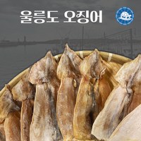 장수왕 울릉도오징어 (10마리) 500g내외 /마른 오징어 건오징어, 10개