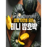 [산지직송] 함평 미니 밤호박, 1개, 소관 4kg