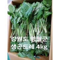 노지 재배 영월생곤드레 4kg/강원도 영월생곤드레나물4kg, 1박스, 4kg