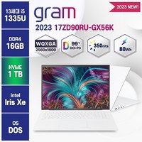 2023 LG전자 그램 대학생 사무용 노트북 17ZD90RU-GX56K, Free DOS, 16GB, 1TB, 코어i5, 화이트