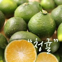 천연 그대로의 신귤맛 청귤 5kg/10kg, 청귤 10kg