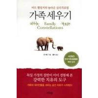 가족 세우기(버트 헬링거의 놀라운 심리치료법)