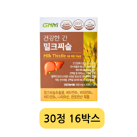 GNM 자연의품격 건강한 간 밀크씨슬, 4정, 120개