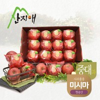 [산지애] 씻어나온 꿀사과 3kg 1box (중대과) / 청송산 미시마 당도선별, 상세 설명 참조