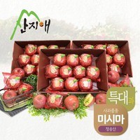 산지애 특대 사과 9kg (3kg*3박스), 3개