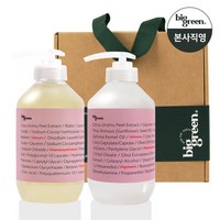 [선물세트]빅그린 임산부 샴푸 500ml+임산부트리트먼트500ml, 1개