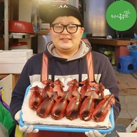 속초 오징어순대 아바이순대 수제 순대, 오징어순대 2미(500g) + 명태회무침세트, 1개