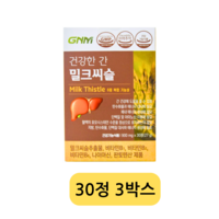 GNM 자연의품격 건강한 간 밀크씨슬, 1정, 90개