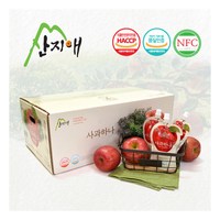 [산지애] [빠른배송]NFC 사과즙 사과주스 사과원액 사과 120ml 60팩, 60개