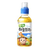 웅진 유기농 하늘보리차, 보리, 200ml, 24개