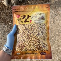 2023년 가평잣 국산잣 햇잣 생잣 500g, 1개, 황잣