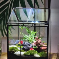 [블루맨바움] 테라리움 이끼테라리움 식물선물 가드닝 홈가드닝 식물심기 정원생활 terrarium 유리정원 부산원데이클래스 부산식물배송 부산꽃집 해운대꽃집 해운대꽃배달