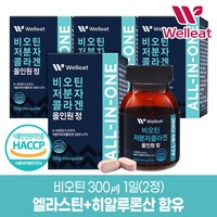 HACCP인증 비오틴 저분자콜라겐 올인원 60정 X 4박스(240정), 4개, 단품, 36g