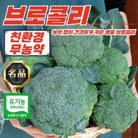 국내산 무농약 유기농 브로콜리 1kg, 1개