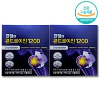 콘드로이친 관절엔 콘드로이친1200, 30회분, 2개