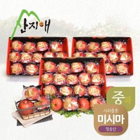 산지애 블랙라벨 더초이스 사과 9kg (3kg*3박스) / 청송사과 미시마, 3개