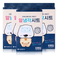 곰탱이 열냉각시트 6매입, 5개