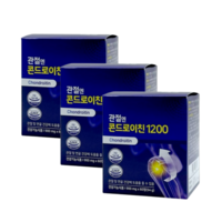 관절엔 콘드로이친 1200 3박스 3개월분, 60정, 3개