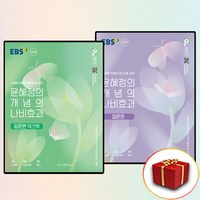 2024 EBS 윤혜정의 나비효과 입문편+워크북 세트 국어 개념 전2권 (사은품 증정)