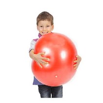 [짐닉] 소피볼 레드