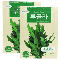 BFA 프리미엄 채소씨앗 루꼴라, 2개입