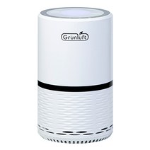 그린루프트 공기청정기 DGP-3100, DGP-3100(화이트)