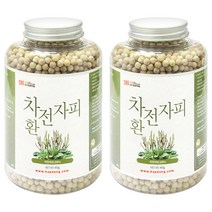 갑당약초 차전자피환, 400g, 2개