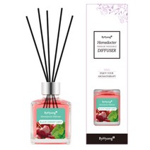 바이향 리프레싱 홈닥터 디퓨져 100ml, 블랙체리 민트, 1개
