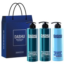 다슈 데일리 패스트 한방 두피 샴푸 500ml x 2p + 단백질 트리트먼트 500ml + 쇼핑백, 1세트
