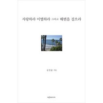 사랑하라 이별하라 그리고 해변을 걸으라, 파랑새미디어, 김천균 저