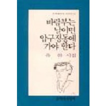 바람부는 날이면 압구정동에 가야 한다, 문학과지성사, 유하 저