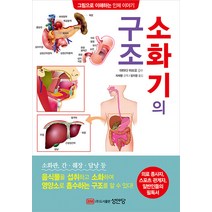 [성안]소화기의 구조 : 그림으로 이해하는 인체 이야기, 성안, 야마다 아쓰오