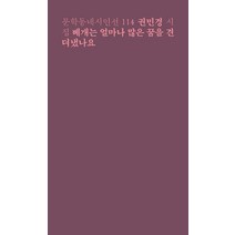 [문학동네]베개는 얼마나 많은 꿈을 견뎌냈나요, 문학동네, 권민경