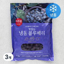 이츠웰 칠레산 블루베리 (냉동), 1kg, 3개