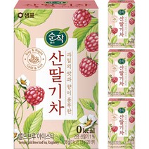 순작 콜드브루 아이스티 산딸기차 티백, 1.8g, 80개