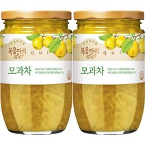 복음자리 모과차, 480g, 2개