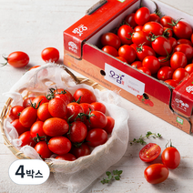 충남세도 GAP 인증 대추방울토마토, 1kg, 4박스