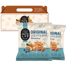 넛츠랩 오리지널 블루베리 견과 선물세트 20g x 20p, 400g, 1세트