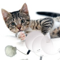 리스펫 퐁퐁이 무브볼 고양이 장난감, iT-1102, 랜덤발송
