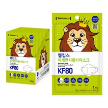 웰킵스 미세먼지황사마스크 대형 KF80, 1개, 25개, 화이트