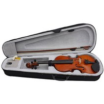 바이올린연습용 가성비 좋은 제품 목록 중에서 다양한 선택지를 제공합니다