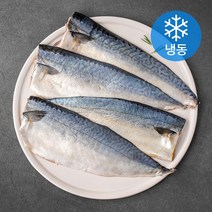 앤쿡 ONE FROZEN 살아있네 부산고등어 (냉동), 750g, 1개