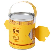 래오이경제 꿀꺽스틱 야생화꿀, 10g, 100개