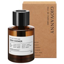 지오바니 루이 차량용 디퓨저 160ml, 아쿠아샤워, 1개