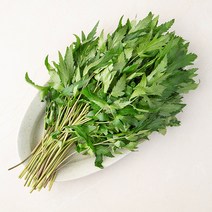 곰곰 국내산 당귀잎, 100g, 1봉